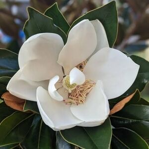 Meet your Posher,Eloise⛲🌻